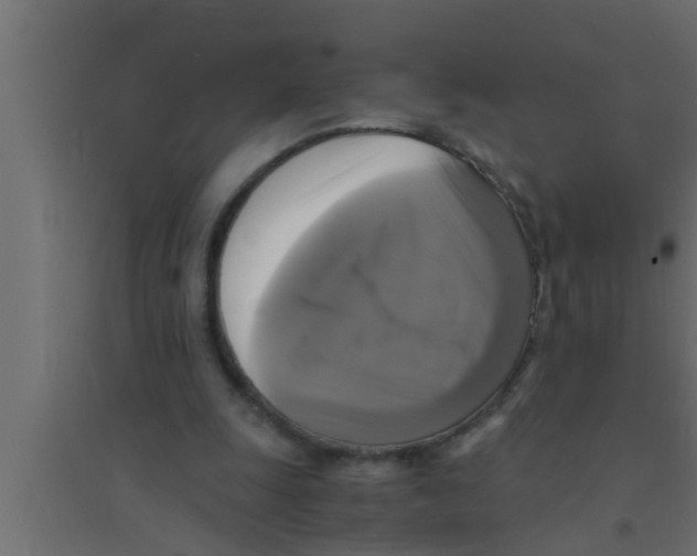 X0000094220247200711241728