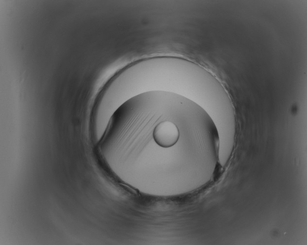 X0000094220248200711241728