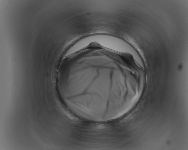 X0000094220249200711241728