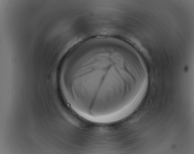 X0000094220250200711241728