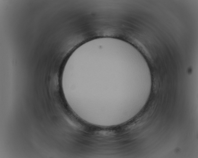 X0000094220251200711241728