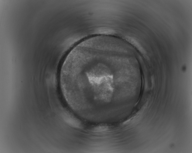 X0000094220252200711241728
