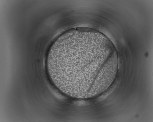 X0000094220253200711241728