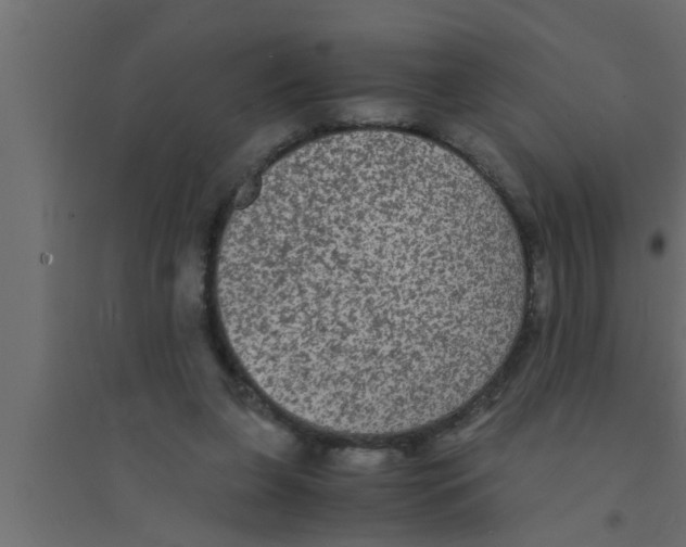 X0000094220255200711241728