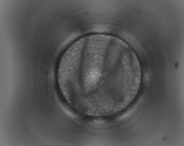 X0000094220256200711241728