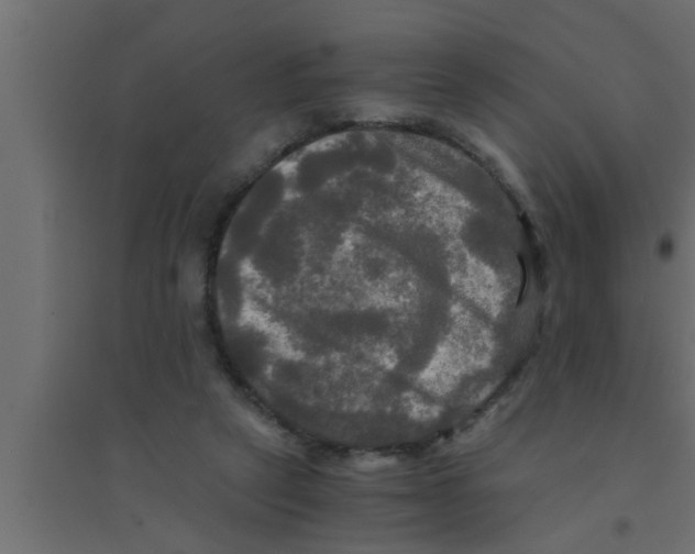 X0000094220257200711241728