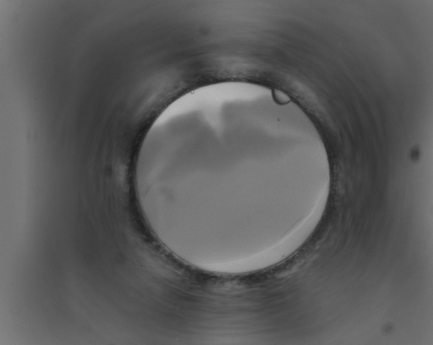 X0000094220258200711241728