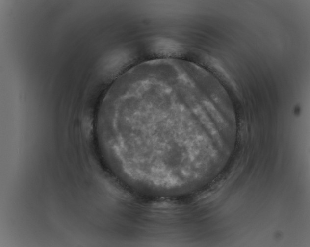 X0000094220259200711241728