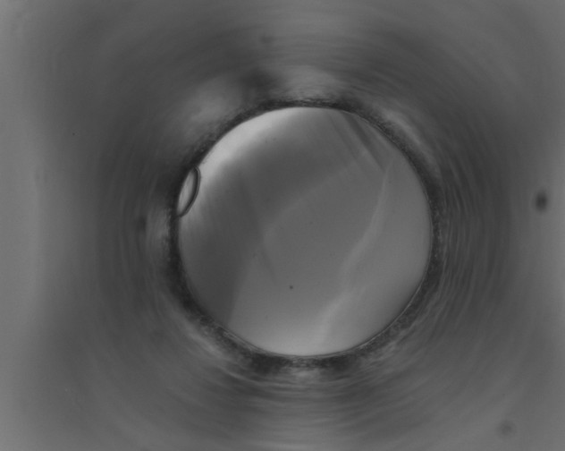 X0000094220260200711241728