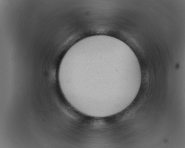 X0000094220262200711241728