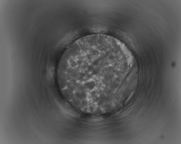 X0000094220263200711241728