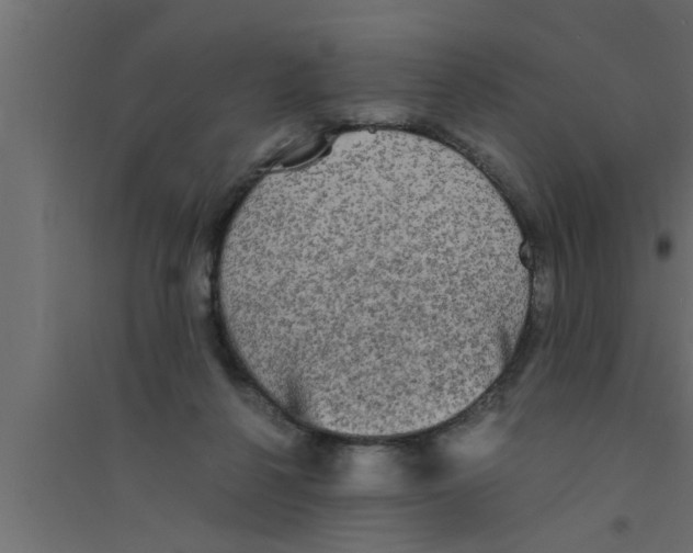 X0000094220264200711241728