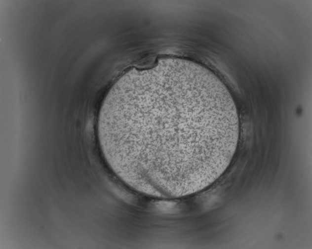 X0000094220265200711241728