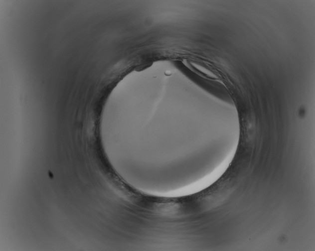X0000094220266200711241728