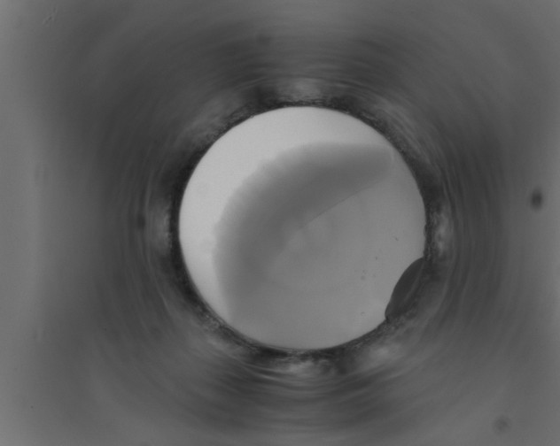 X0000094220267200711241728