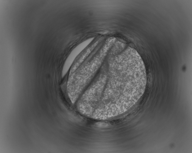 X0000094220272200711241728