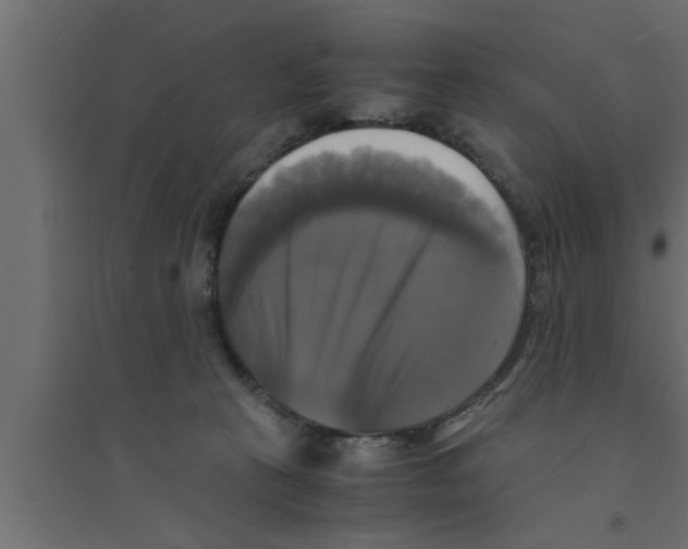 X0000094220273200711241728