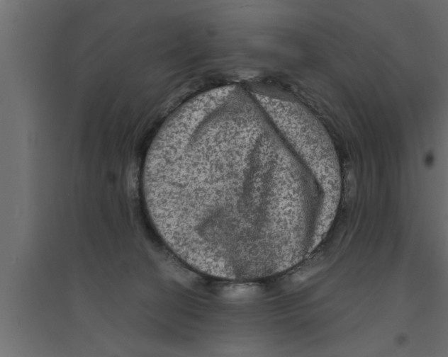 X0000094220274200711241728