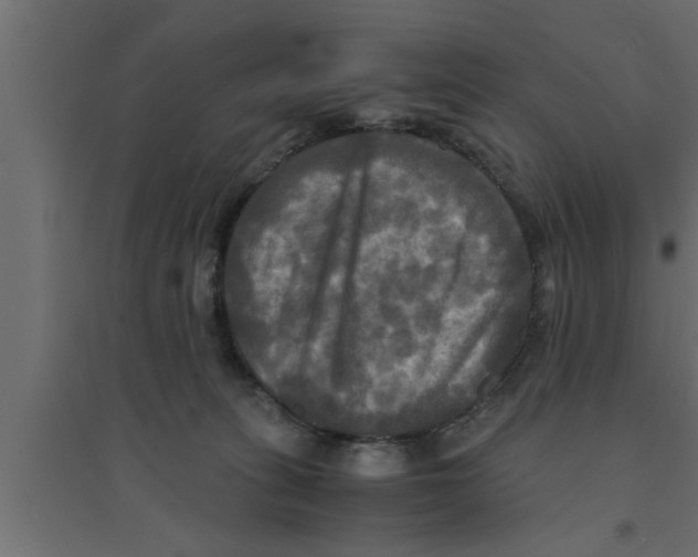 X0000094220275200711241728