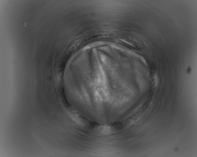 X0000094220276200711241728