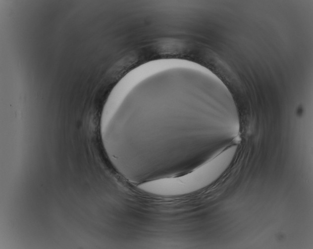 X0000094220277200711241728
