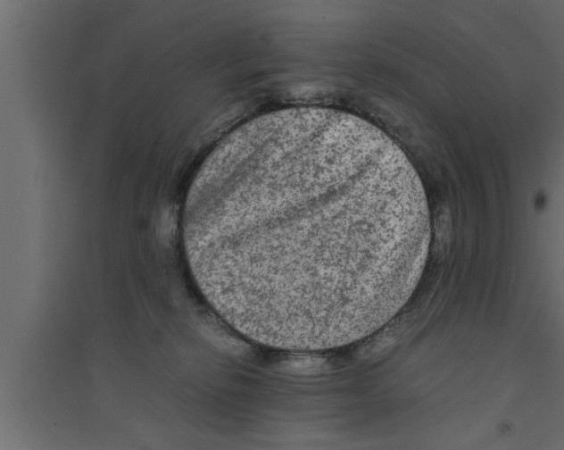 X0000094220278200711241728