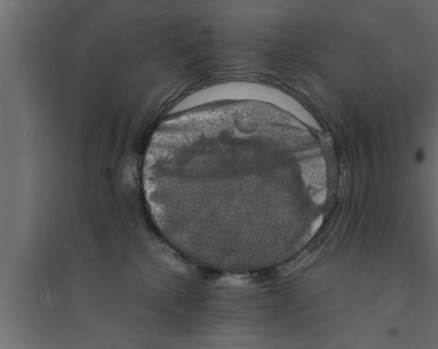 X0000094220280200711241728