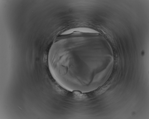 X0000094220281200711241728