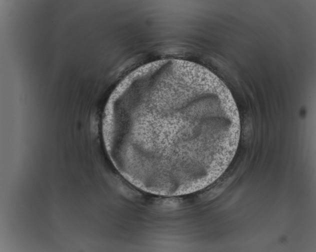 X0000094220282200711241728