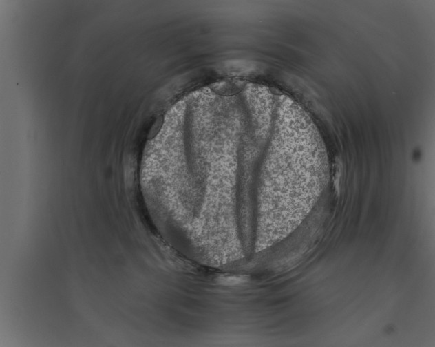 X0000094220283200711241728