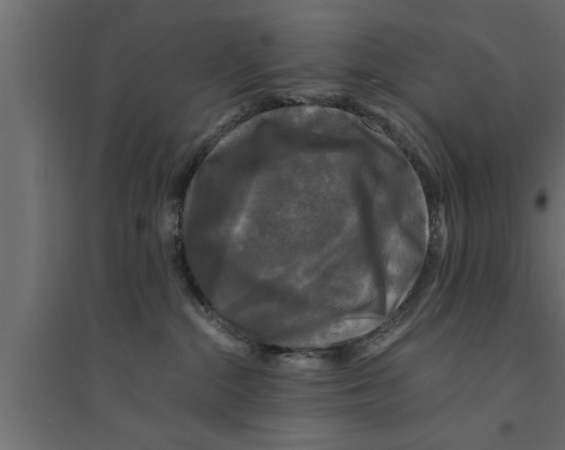 X0000094220284200711241728