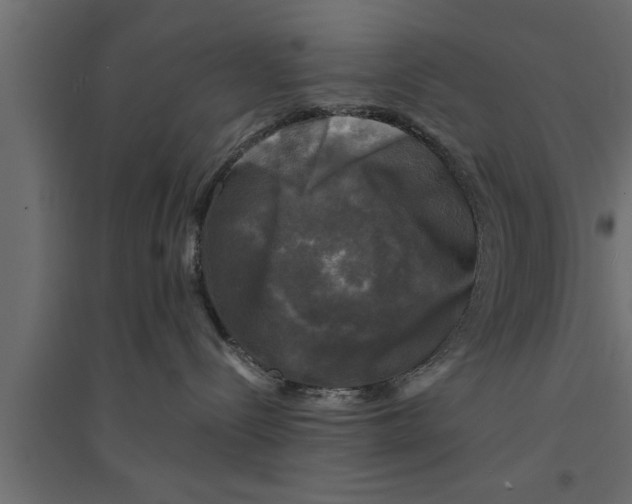 X0000094220288200711241729