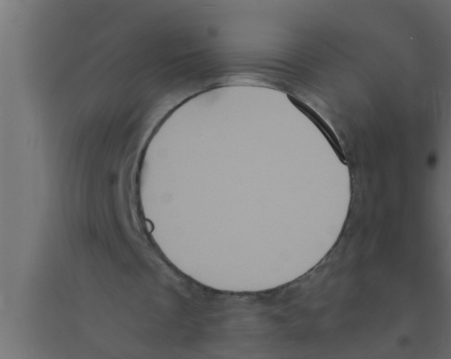 X0000094220289200711241728