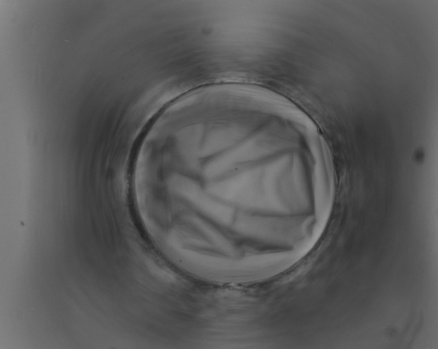 X0000094220290200711241728