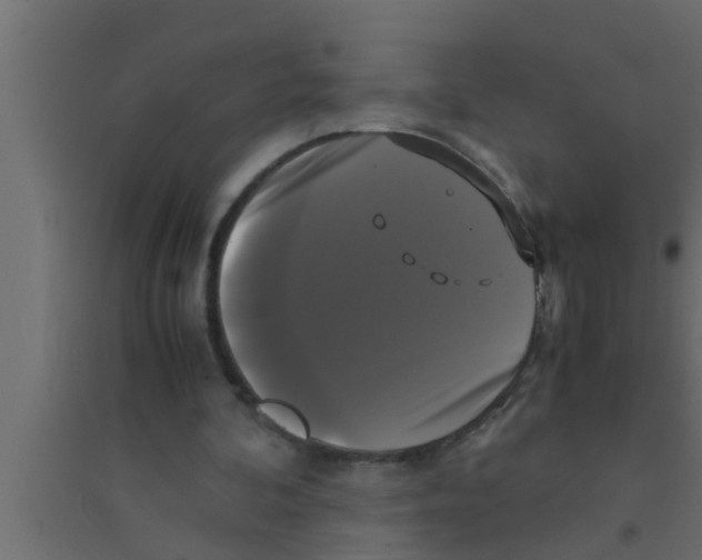 X0000094220292200711241728