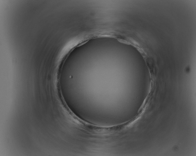 X0000094220293200711241728