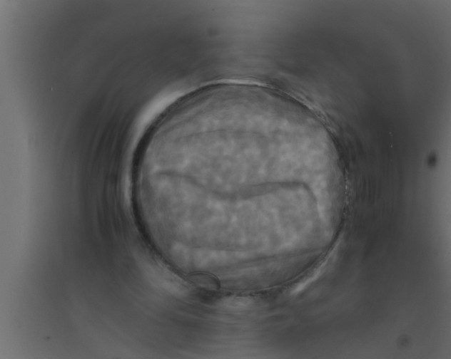 X0000094220294200711241728