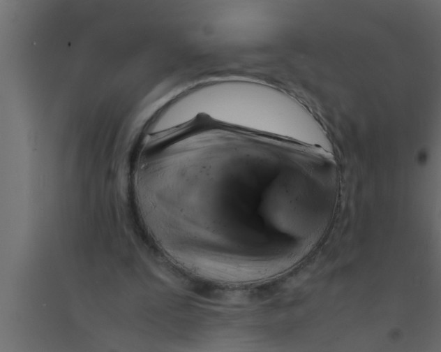 X0000094220295200711241728