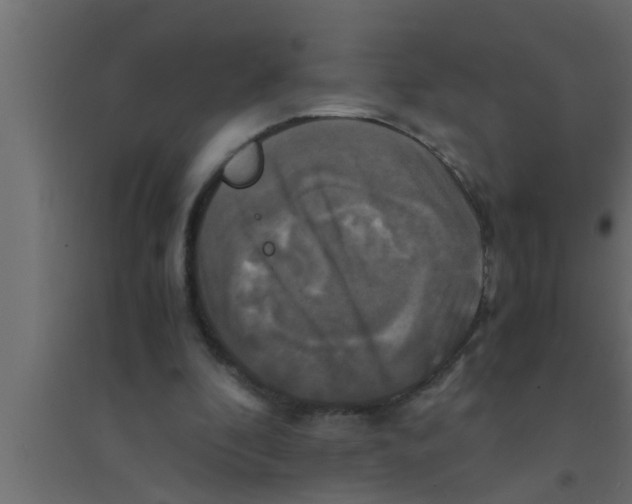 X0000094220296200711241728