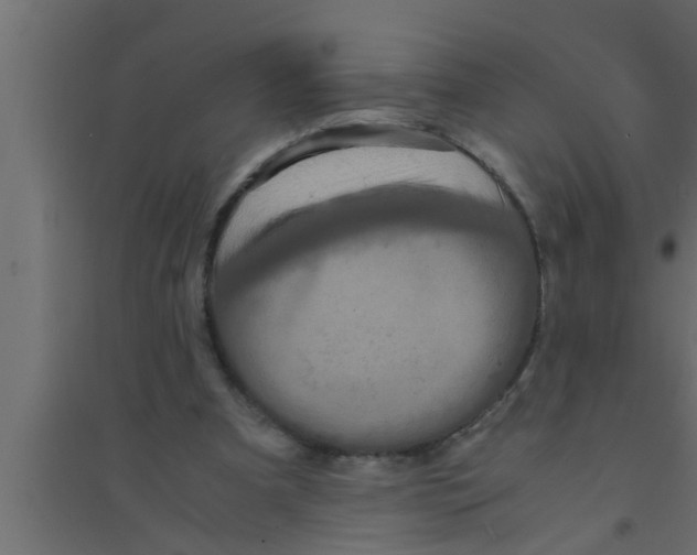 X0000094220297200711241728