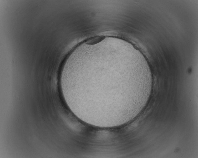 X0000094220298200711241728