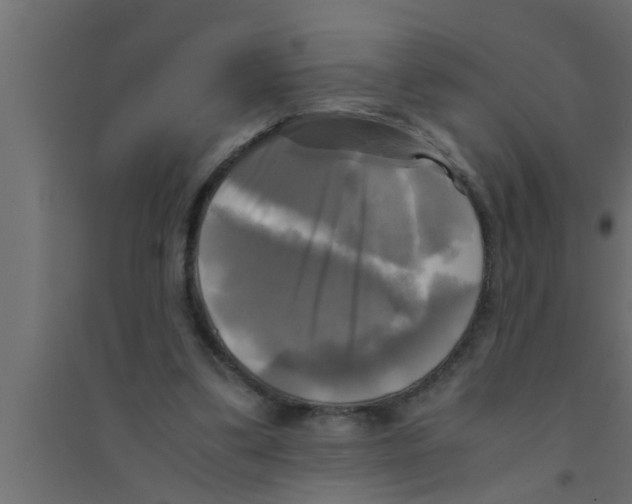 X0000094220299200711241728