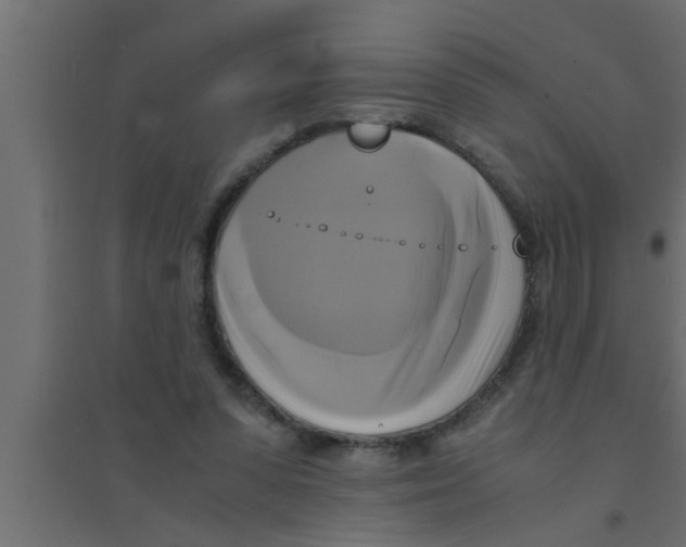 X0000094220303200711241727