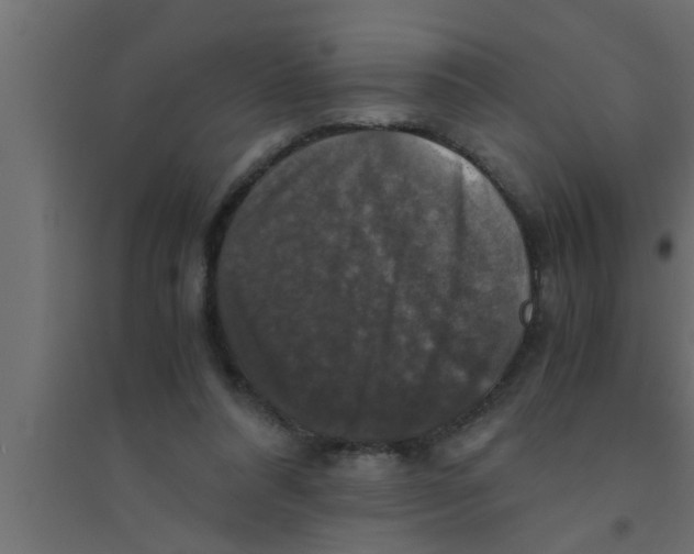 X0000094220304200711241727