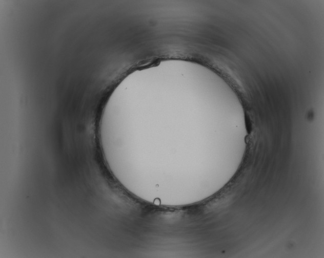 X0000094220306200711241727