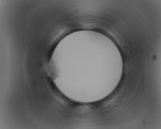 X0000094220307200711241727