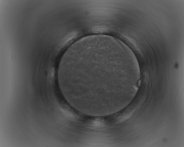 X0000094220308200711241727
