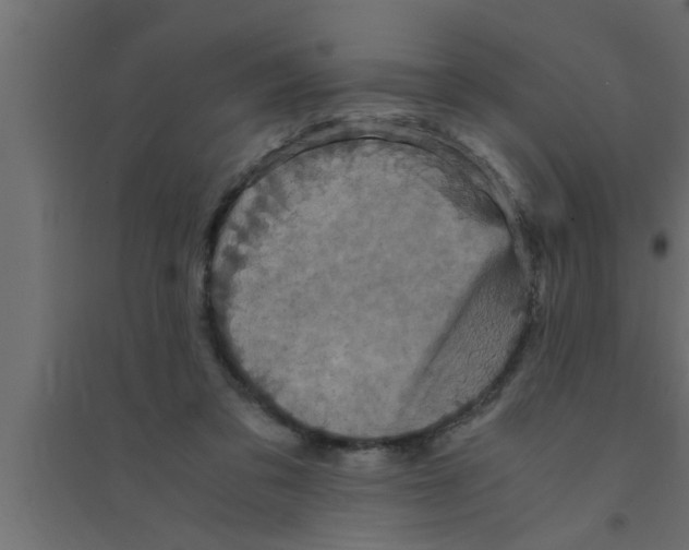 X0000094220309200711241727