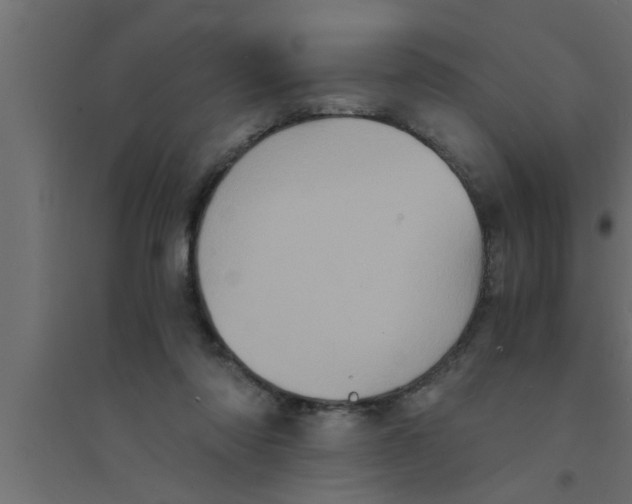 X0000094220310200711241727