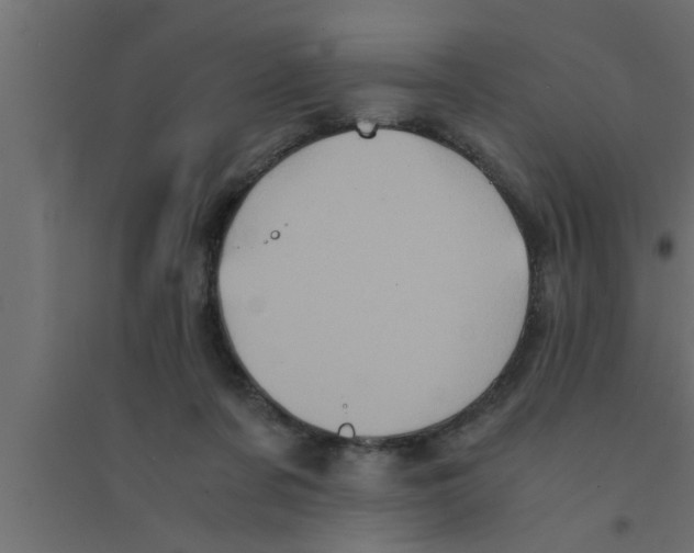 X0000094220311200711241727